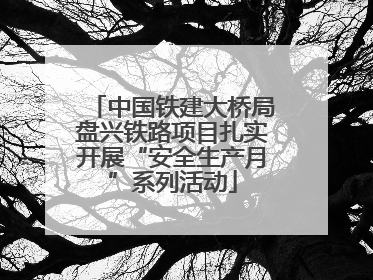 中国铁建大桥局盘兴铁路项目扎实开展“安全生产月”系列活动