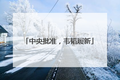 中央批准，韦韬履新