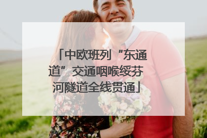 中欧班列“东通道”交通咽喉绥芬河隧道全线贯通