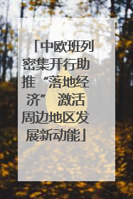 中欧班列密集开行助推“落地经济” 激活周边地区发展新动能
