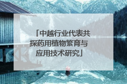 中越行业代表共探药用植物繁育与应用技术研究