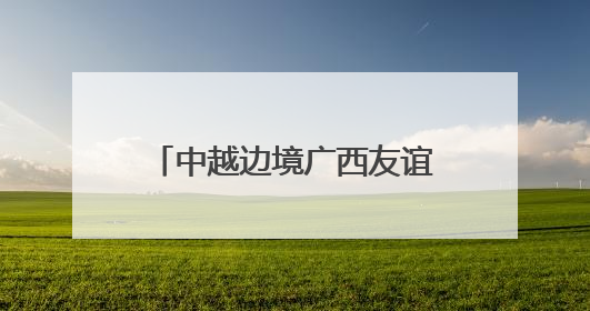 中越边境广西友谊关口岸前5月进出口货运量增长超三成