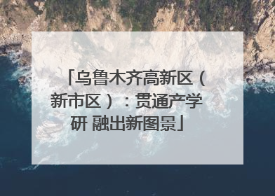 乌鲁木齐高新区（新市区）：贯通产学研 融出新图景