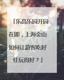 乐高乐园开园在即，上海金山如何让游客吃好住玩得好？