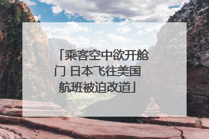 乘客空中欲开舱门 日本飞往美国航班被迫改道