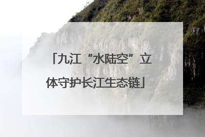 九江“水陆空”立体守护长江生态链