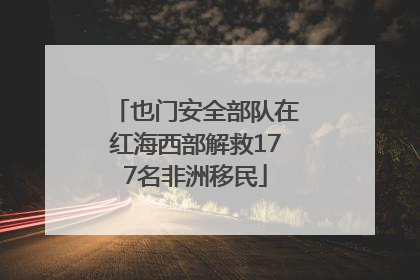 也门安全部队在红海西部解救177名非洲移民