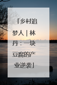 乡村追梦人｜林丹：一块豆腐的产业逆袭