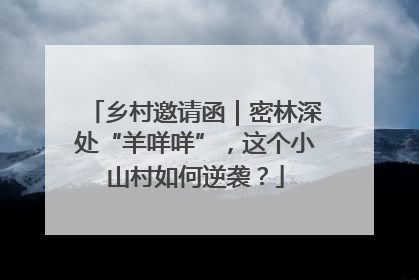 乡村邀请函｜密林深处“羊咩咩”，这个小山村如何逆袭？