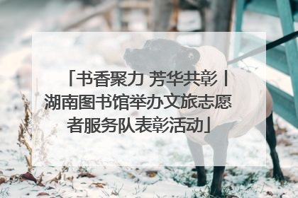 书香聚力 芳华共彰丨湖南图书馆举办文旅志愿者服务队表彰活动