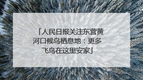 人民日报关注东营黄河口候鸟栖息地：更多飞鸟在这里安家