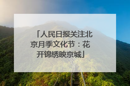 人民日报关注北京月季文化节：花开锦绣映京城