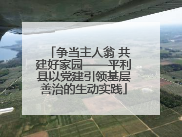 争当主人翁 共建好家园——平利县以党建引领基层善治的生动实践