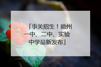 事关招生！德州一中、二中、实验中学最新发布
