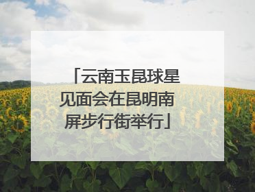云南玉昆球星见面会在昆明南屏步行街举行
