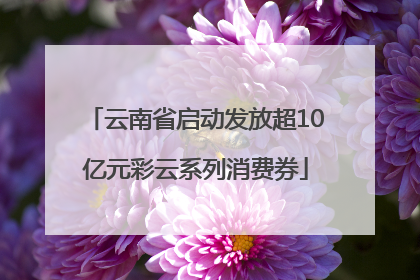 云南省启动发放超10亿元彩云系列消费券