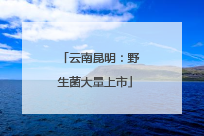 云南昆明：野生菌大量上市