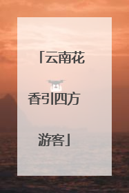 云南花香引四方游客