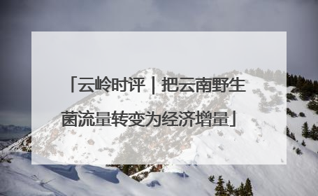 云岭时评｜把云南野生菌流量转变为经济增量