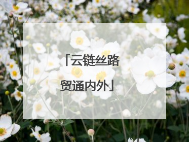 云链丝路 贸通内外