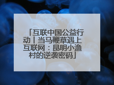 互联中国公益行动丨当马鞭草遇上互联网：昆明小渔村的逆袭密码