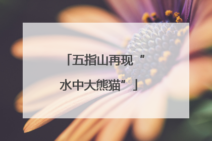 五指山再现“水中大熊猫”