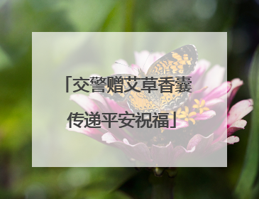 交警赠艾草香囊 传递平安祝福