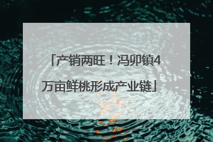 产销两旺！冯卯镇4万亩鲜桃形成产业链