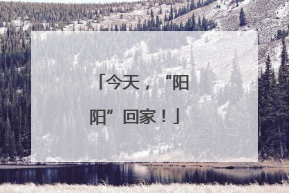 今天，“阳阳”回家！
