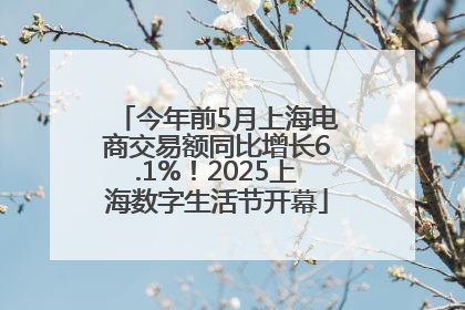 今年前5月上海电商交易额同比增长6.1%！2025上海数字生活节开幕