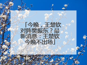 今晚，王楚钦对阵樊振东？最新消息：王楚钦今晚不出场