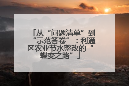 从“问题清单”到“示范答卷”：利通区农业节水整改的“蝶变之路”