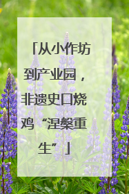 从小作坊到产业园，非遗史口烧鸡“涅槃重生”