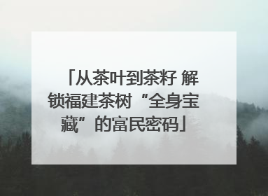 从茶叶到茶籽 解锁福建茶树“全身宝藏”的富民密码
