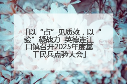 以“点”见质效，以“验”凝战力  英德连江口镇召开2025年度基干民兵点验大会