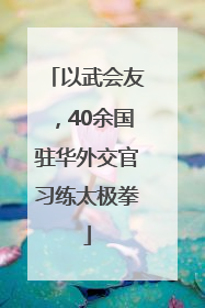 以武会友，40余国驻华外交官习练太极拳