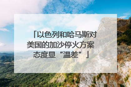以色列和哈马斯对美国的加沙停火方案态度显“温差”