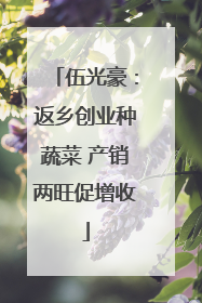 伍光豪：返乡创业种蔬菜 产销两旺促增收