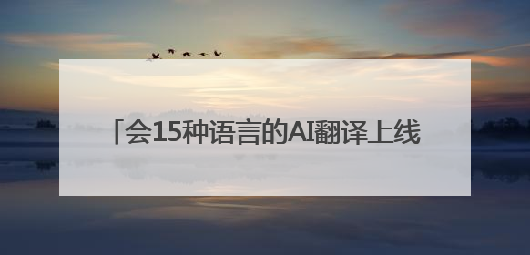 会15种语言的AI翻译上线！济南机场让外籍旅客China Travel更顺畅
