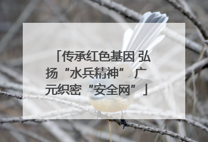 传承红色基因 弘扬“水兵精神” 广元织密“安全网”