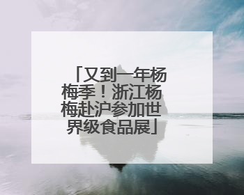 又到一年杨梅季！浙江杨梅赴沪参加世界级食品展