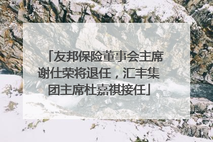 友邦保险董事会主席谢仕荣将退任，汇丰集团主席杜嘉祺接任