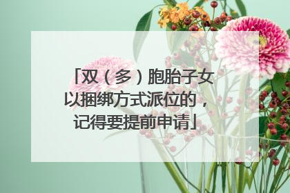 双（多）胞胎子女以捆绑方式派位的，记得要提前申请