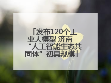 发布120个工业大模型 济南 “人工智能生态共同体”初具规模