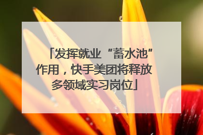 发挥就业“蓄水池”作用，快手美团将释放多领域实习岗位