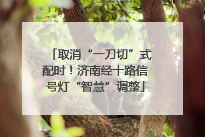 取消“一刀切”式配时！济南经十路信号灯“智慧”调整