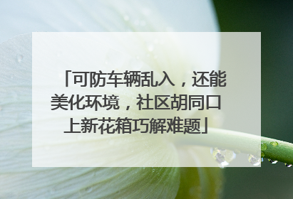 可防车辆乱入，还能美化环境，社区胡同口上新花箱巧解难题