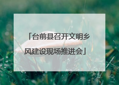 台前县召开文明乡风建设现场推进会