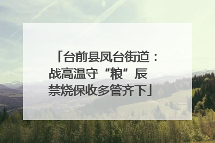 台前县凤台街道：战高温守“粮”辰 禁烧保收多管齐下