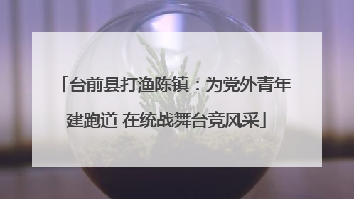 台前县打渔陈镇：为党外青年建跑道 在统战舞台竞风采
